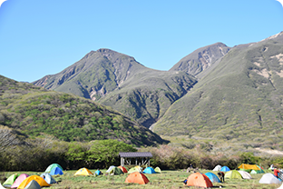 山林売却に関する税金